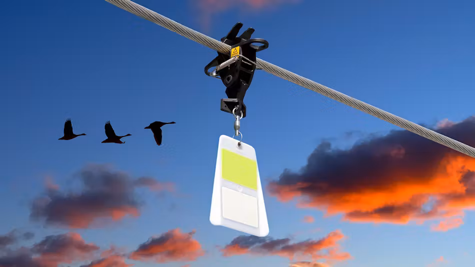 Our Commitment to Environmental Stewardship