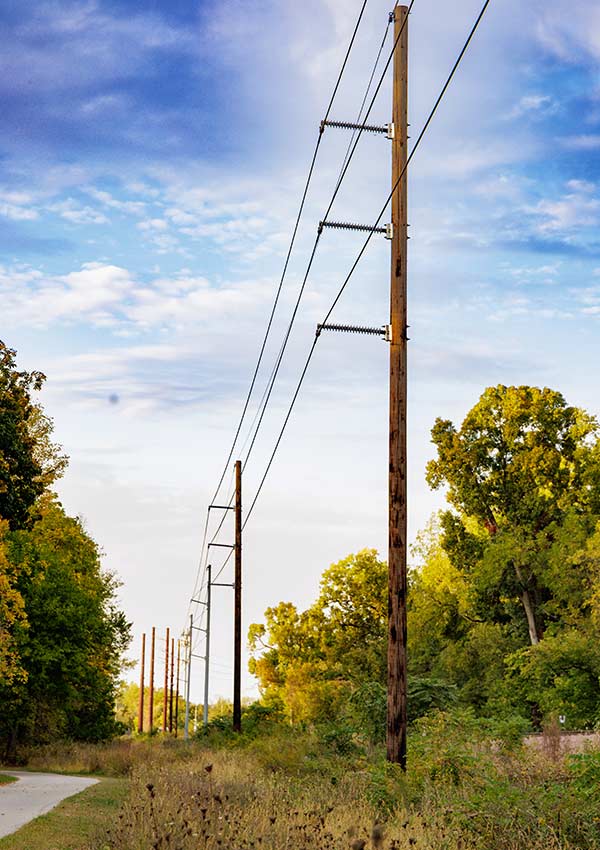 A bright blue and sunny day with powerlines in front of green trees
